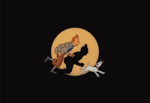 Tintin GIF - Tintin GIFs