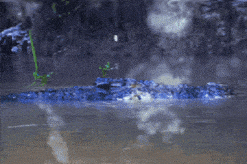 a picture of a waterfall with the words lia is visible