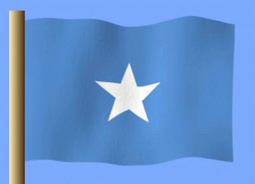 Somali GIF - Somali GIFs