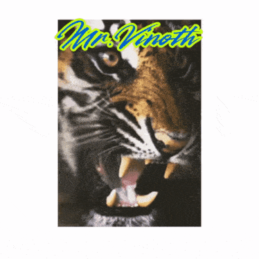 a picture of a tiger with its mouth open and the name mrs. vinette on it