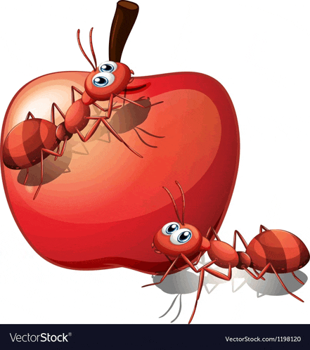 two ants are standing next to an apple on a white background .