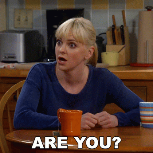 Are You Christy GIF - Are You Christy Anna Faris GIFs