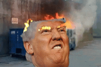 Trumpsterfire Dumpsterfire GIF - Trumpsterfire Dumpsterfire Dumster GIFs
