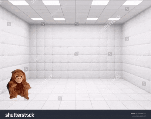 a stuffed monkey is floating in a white room
