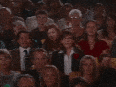 a crowd of people are sitting in a theatre watching a show