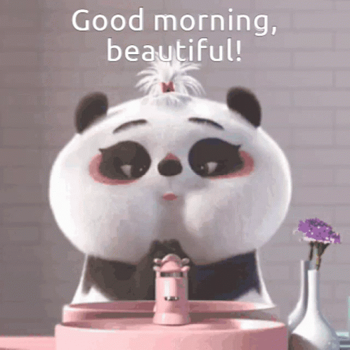 Cute Panda Good Morning GIF - Cute Panda Good Morning Beautiful GIFs
