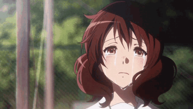 a girl with brown hair is crying with a tear running down her face