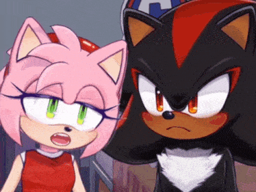 shadow the hedgehog and amy the hedgehog are looking at each other