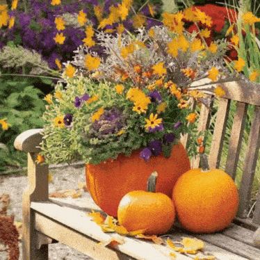 a pumpkin filled with flowers sits on a bench next to two pumpkins