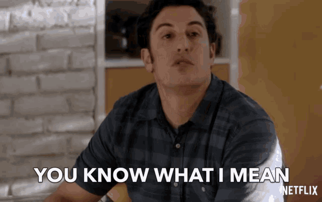 a man in a plaid shirt says you know what i mean netflix