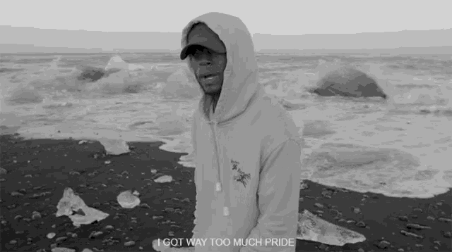 a man in a hoodie is standing on a beach with the words i got way too much pride below him
