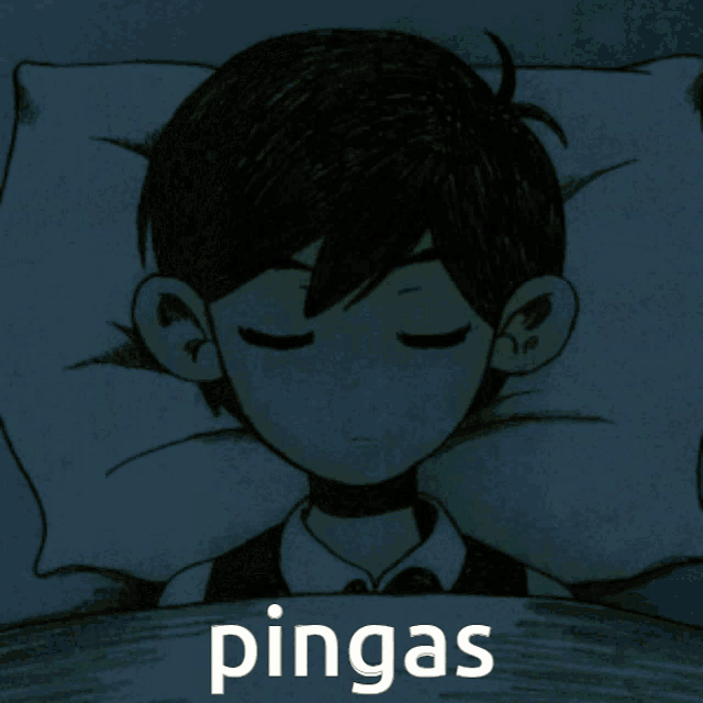 a drawing of a boy sleeping with the word pinga on the bottom right