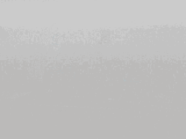 Sleepycat Aidencord GIF