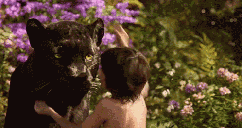 a young boy is hugging a black panther in a field of purple flowers .