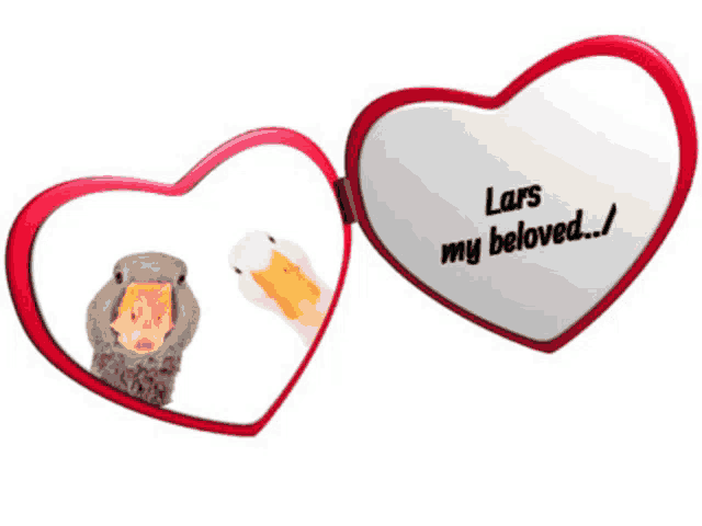 a heart shaped mirror with the words lars my beloved