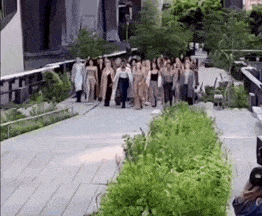 a group of people are walking down a sidewalk next to trees .