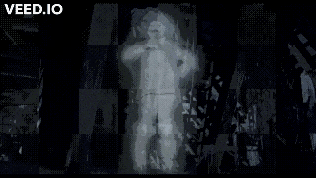 a blurred image of a ghost with the words veed.io written below it