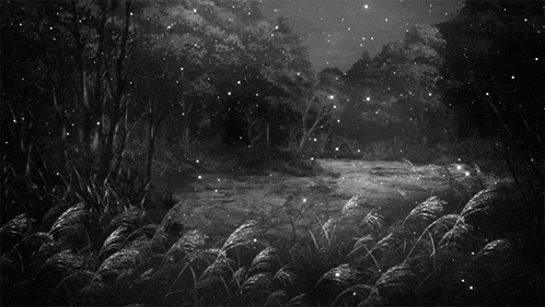 a black and white photo of a forest at night with trees and stars