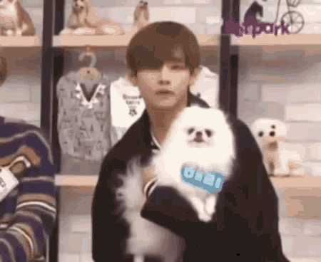 Bts Funny Dog GIF - Bts Funny Dog Taehyung GIFs