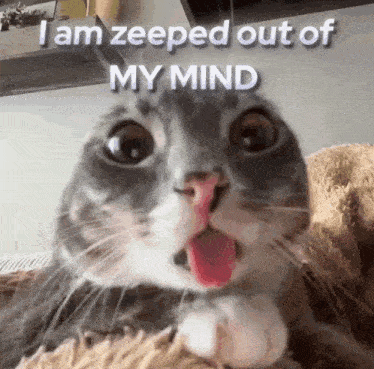 a close up of a cat with its tongue out and the words i am zeeped out of my mind