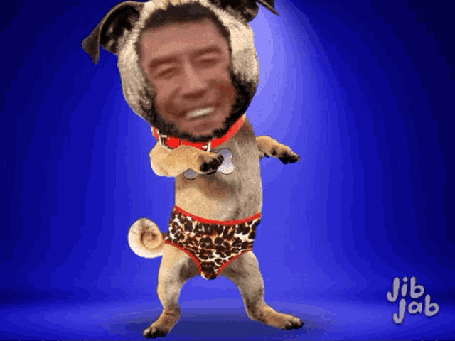 a picture of a dog with a man 's face on its head