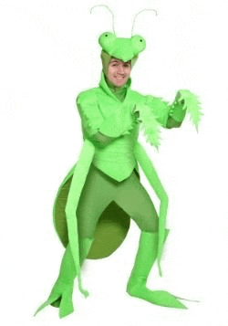 a man in a green praying mantis costume is standing in front of a white background .