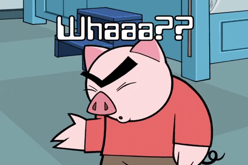 a cartoon pig says " whaaa?? " in white letters on a blue background