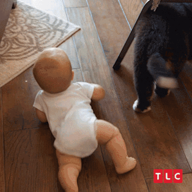 Crawl Baby GIF - Crawl Baby Todler GIFs