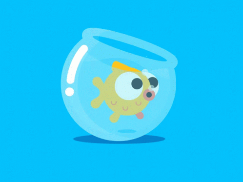 Cutefish Fishbowl GIF - Cutefish Fish Fishbowl GIFs