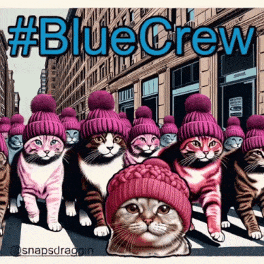 a group of cats wearing pink hats are walking down a street with the caption #bluecrew