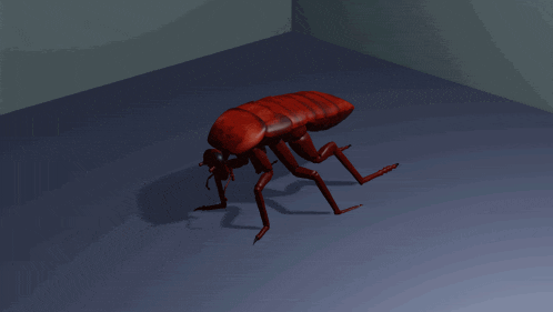 a 3d model of a cockroach laying on the floor