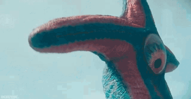 a close up of a starfish with a long tongue