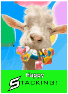 Happy Stacking GIF - Happy Stacking GIFs