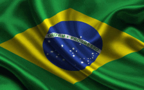 Bandeira Do GIF - Bandeira Do Brasil GIFs