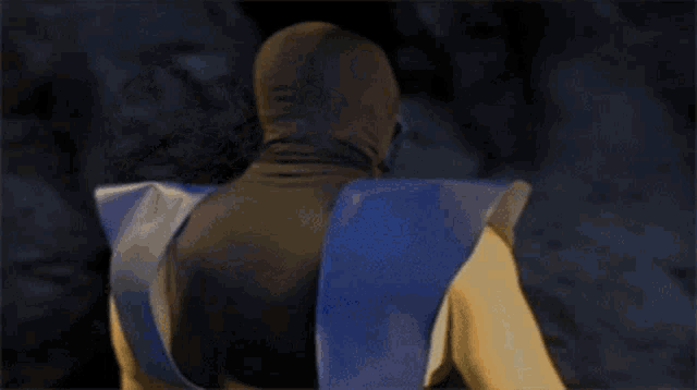 a video game character wearing a mask and a blue vest