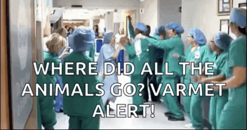 Hospital Party GIF - Hospital Party Success GIFs