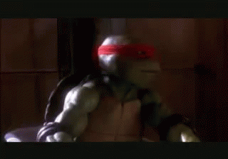 Ninja Turtles GIF - Teenage Mutant Ninja Turtles GIFs