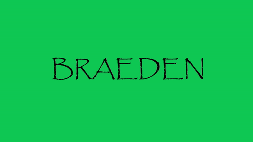 Braeden Get Online GIF - Braeden Get Online GIFs