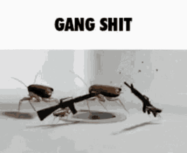 a group of cockroaches are holding guns in their mouths .