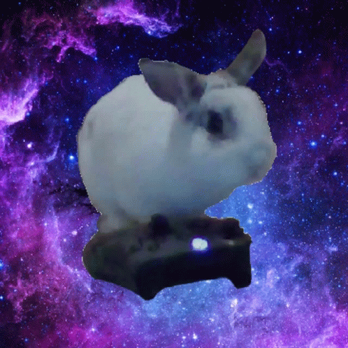 Oreo Rabbit GIF - Oreo Rabbit GIFs