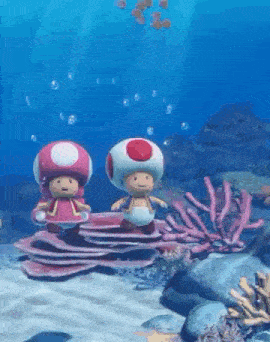two toads are standing next to each other on a coral reef in the ocean .