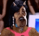 a close up of a dog wearing a wig and a mask .