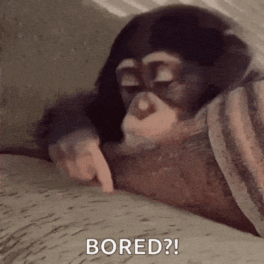 a chimpanzee is laying on a couch and pointing at something with its finger .