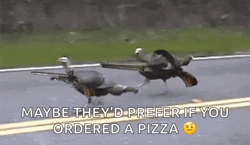 a couple of birds carrying guns on their backs are running down a street .