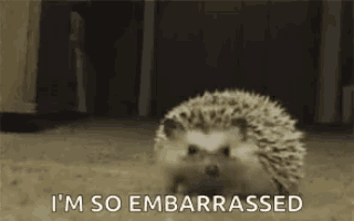 a hedgehog is walking on the floor with the words `` i 'm so embarrassed '' written next to it .