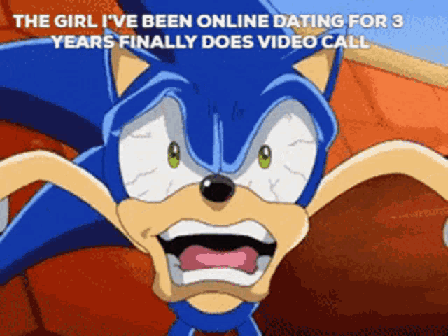 a cartoon of sonic says the girl i 've been online dating for 3 years finally does video call ..