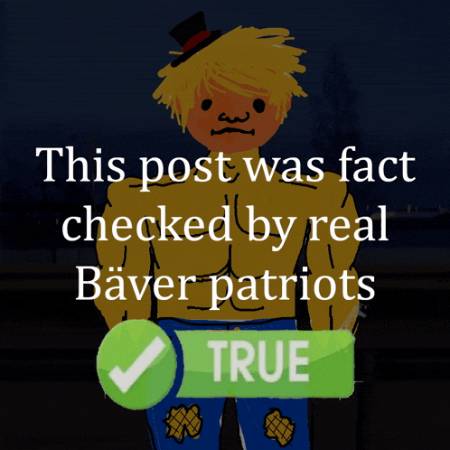 a cartoon of a man with the words this post was fact checked by real baver patriots below him