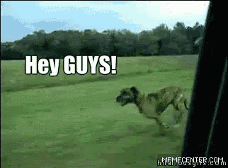 a dog running in a field with the words hey guys