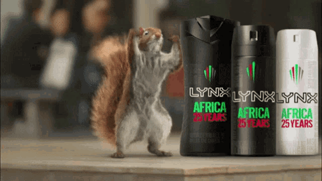 a squirrel is standing next to lynx africa deodorants