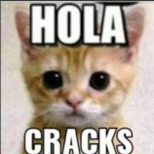 Hola Cracks Hola Papus GIF - Hola Cracks Hola Papus Gato Diciendo Hola Crack GIFs